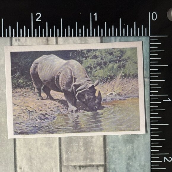 ๐10/$10๐ Classic Grassland Animals Reusable Washi Sticker Decal - Picture 1 of 1